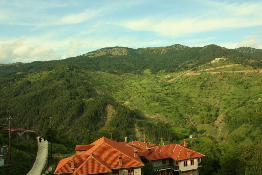 Archontiko Metsovou Luxury Boutique Hotel Room photo