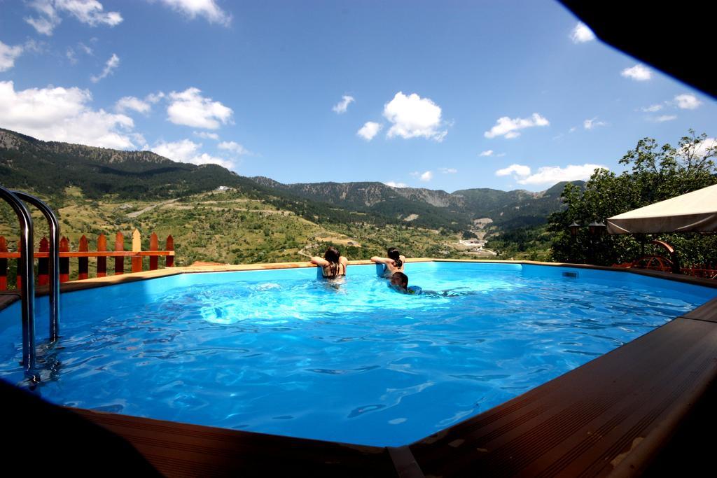 Archontiko Metsovou Luxury Boutique Hotel Room photo