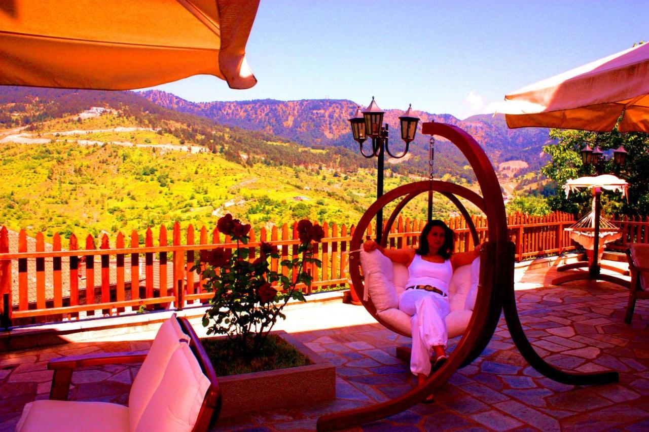 Archontiko Metsovou Luxury Boutique Hotel Room photo